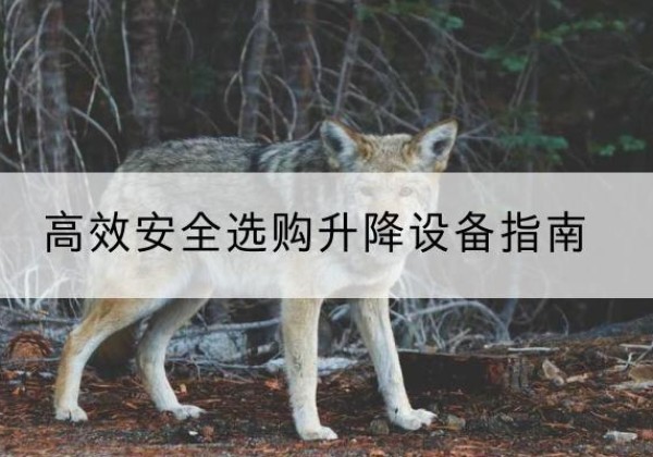 新津升降货梯厂家推荐-*安全选购升降设备指南