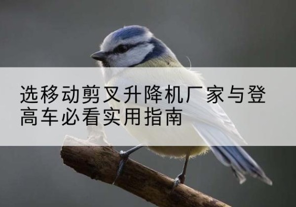 新津电动升降机厂家-选移动剪叉升降机厂家与登高车必看实用指南