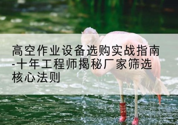 新津剪叉式升降机厂家-高空作业设备选购实战指南-十年工程师揭秘厂家筛选核心法则
